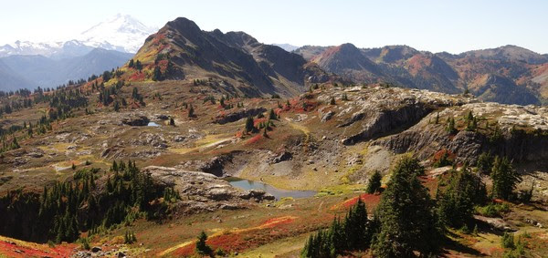 A scenic view in North Cascades, with red grasses and small ponds dotting the mountains.