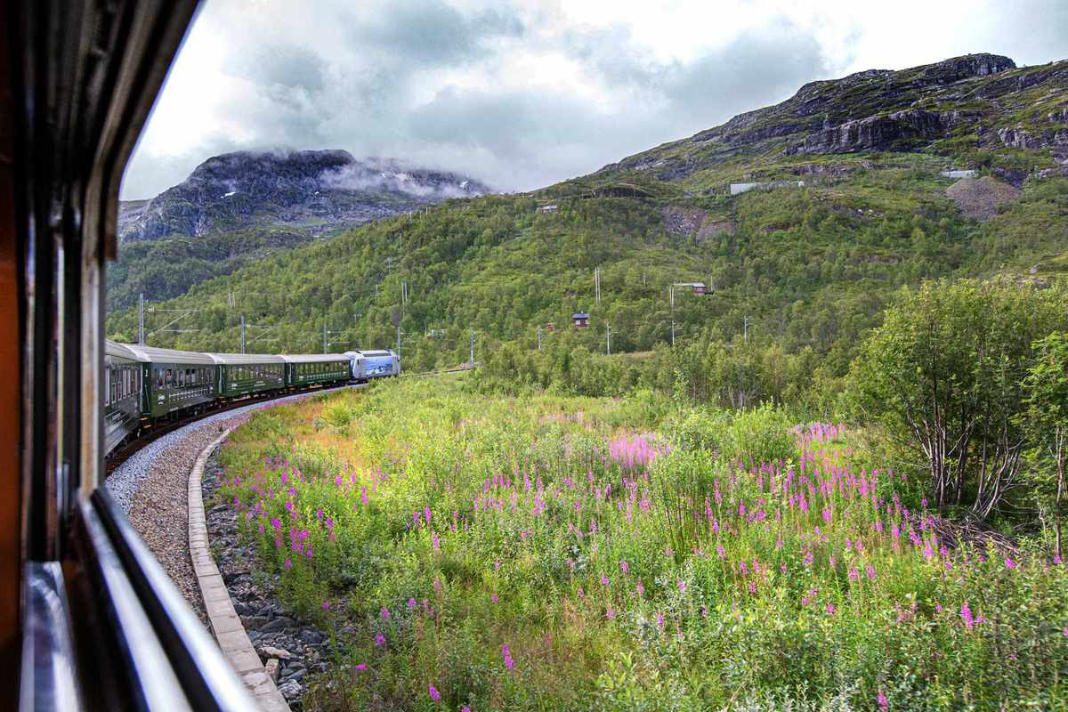The Flåm Railway, Norway
Link 
flowers
train
mountains
rocks