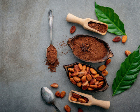 cocoa beans cocoa powder
