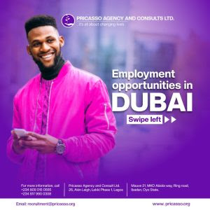 Live And Work In Dubai - Pricasso 38