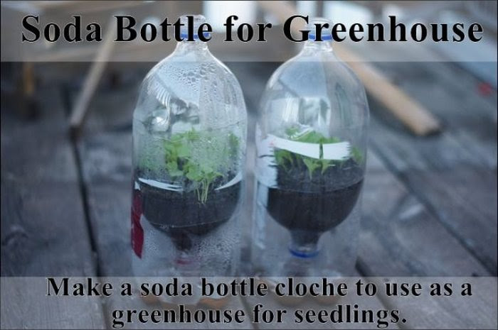 garden tips