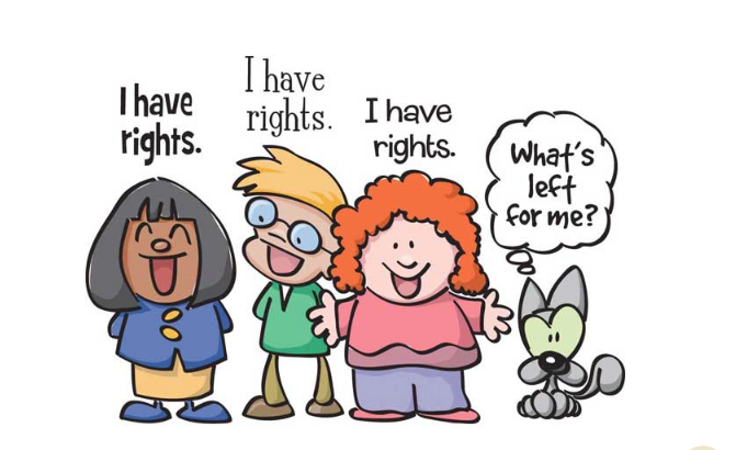 December 15 â Bill of Rights Day
