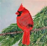 Cardinal on Pine Branch - Posted on Friday, January 2, 2015 by Sandy Abouda