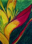 Bird of Paradise - Posted on Wednesday, December 10, 2014 by Sonia Rumzi