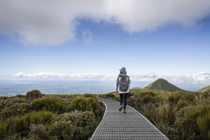 A woman walks on a boardwalk through parkland in New Zealand. (Getty Images)