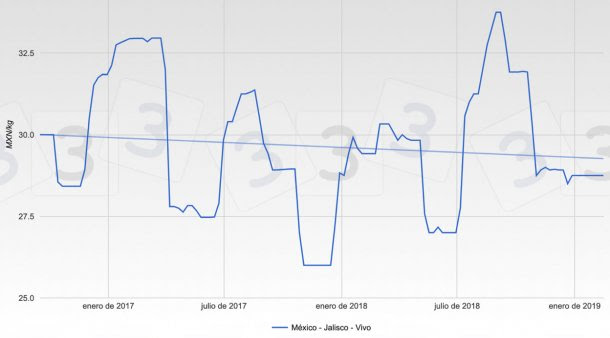 Gráfica 1. Evolución de las cotizaciones en la bolsa de Jalisco durante los dos últimos años.