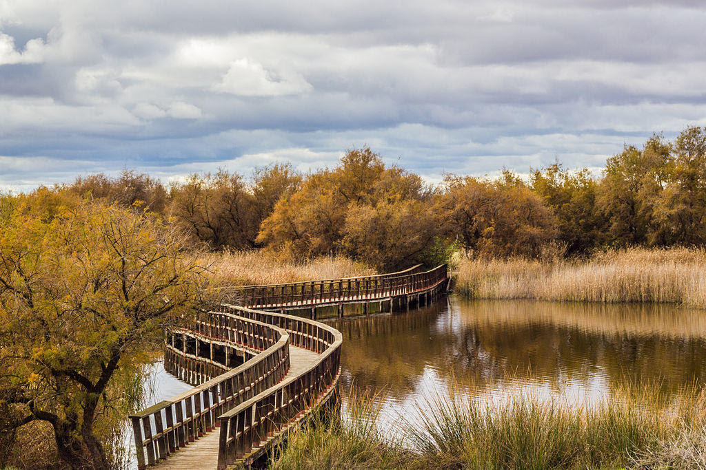 Las principales organizaciones ambientales reclaman un plan urgente que salve el Parque Nacional de las Tablas de Daimiel