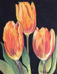 Hurry Up Spring Tulips - Posted on Wednesday, January 7, 2015 by Melissa Torres