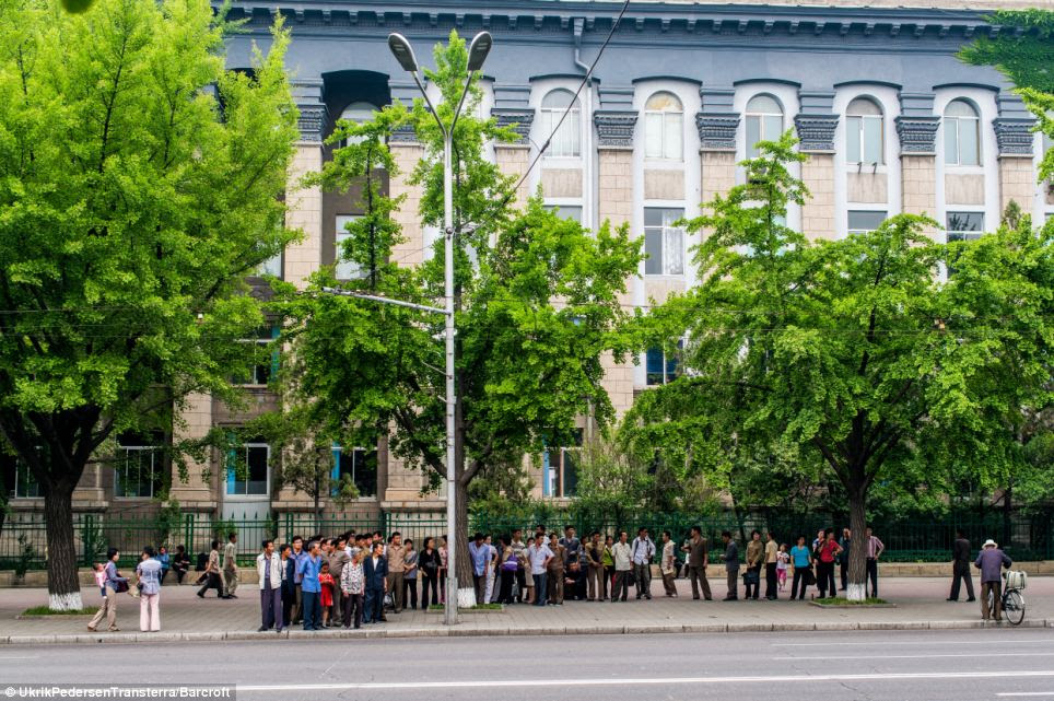 Get to work: Commuters in Pyongyang wait in a long line in order to catch the bus to and from work in the city centre on the country's poor public transport system