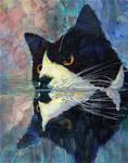 Kitty Reflections - Posted on Saturday, January 31, 2015 by Melissa Gannon