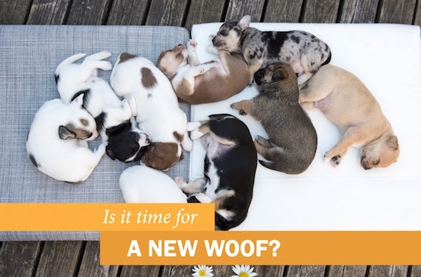 Is it Time for a New Woof?