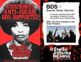 Anti-BDS flier