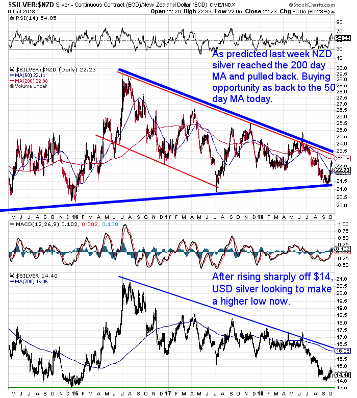 NZ Dollar Silver Chart NZ Dollar Silver Chart