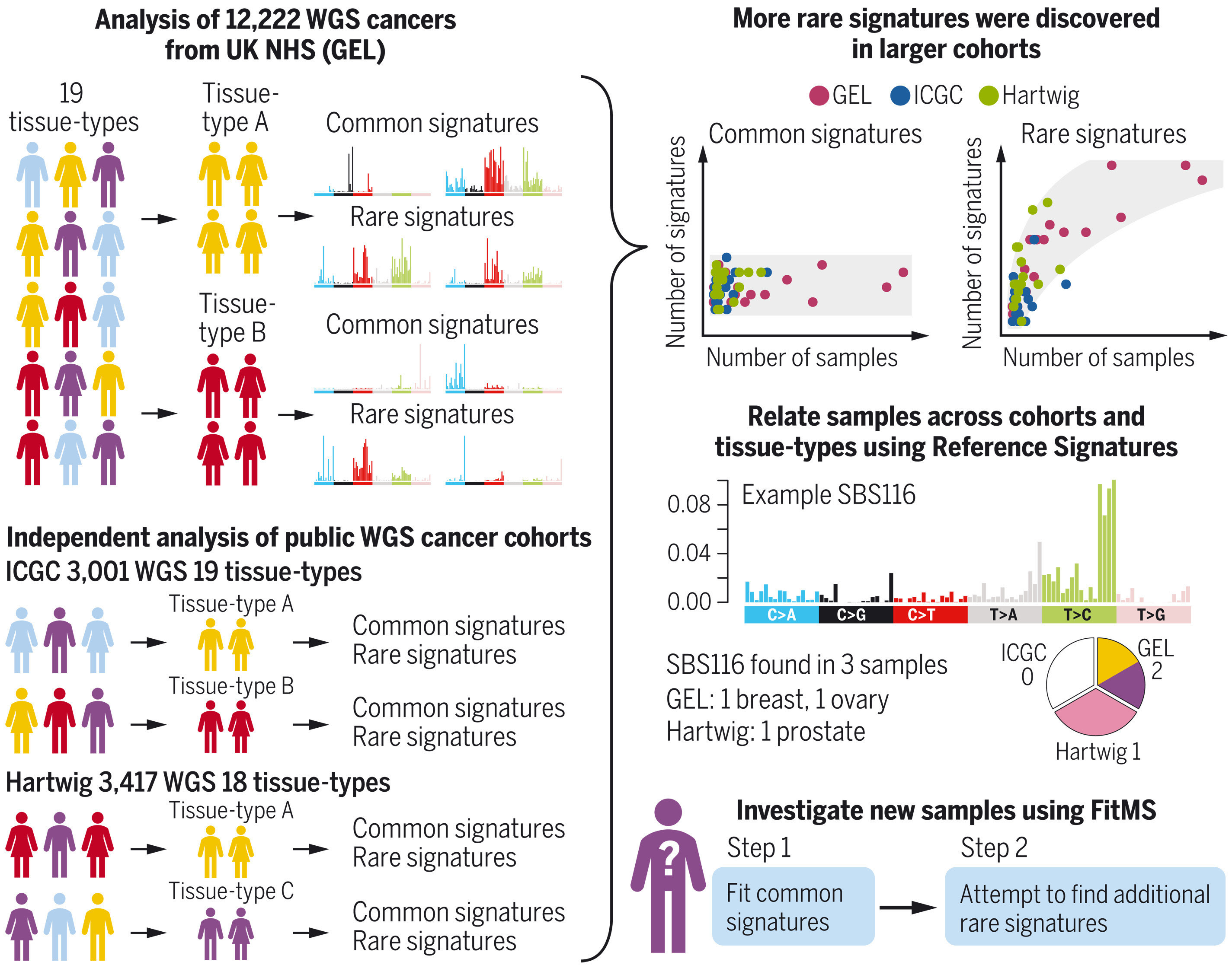 Infographic of sequenced DNA of cancer tumours.