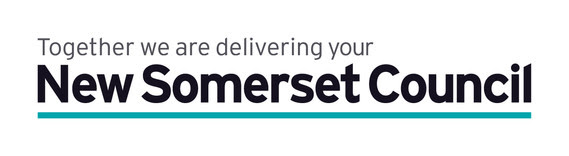Interim New Somerset logo