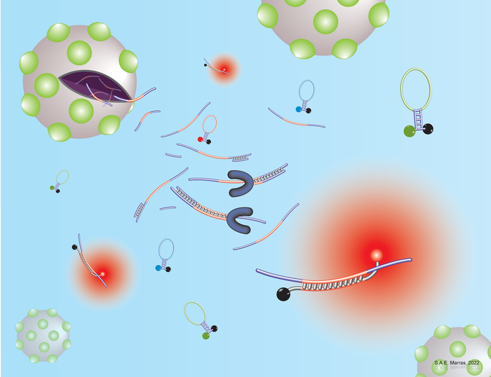 New PCR test can identify all SARS-CoV-2 variants in a positive patient sample