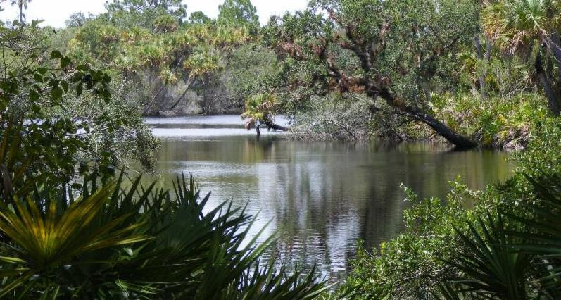 Friends Of Sarasota County Parks September Nature Events In Our Parks ...