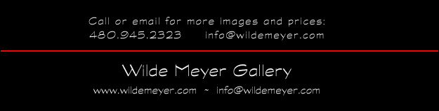 info@wildemeyer.com | www.wildemeyer.com | 480.945.2323