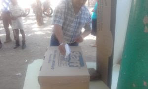 consulta ciudadana1