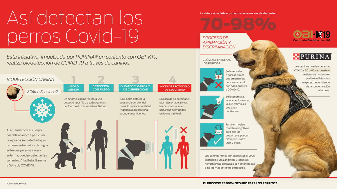 Infografía OBI-K19