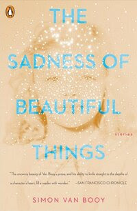 The Sadness of Beautiful Things, by Simon van Booy