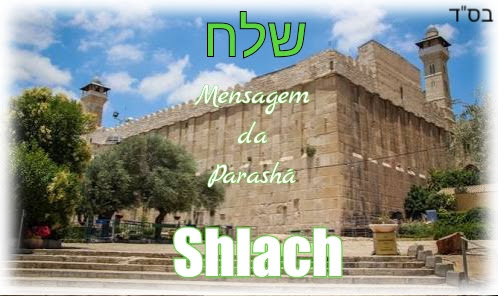 Shlach Shlach