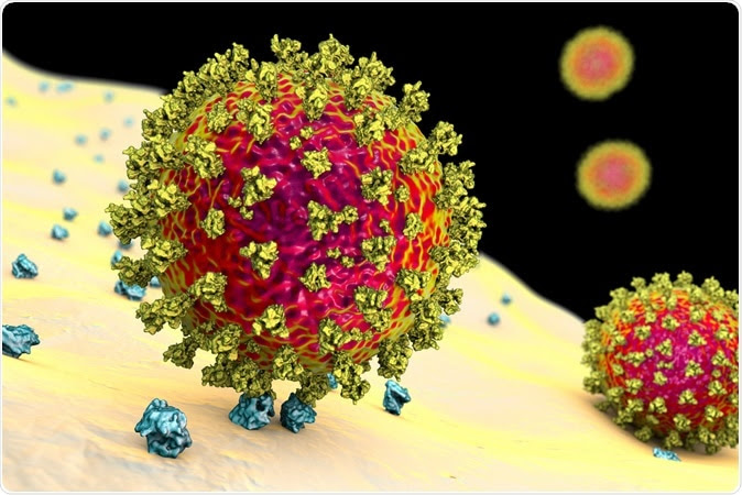 Study: A cohort study to evaluate the effect of combination Vitamin D, Magnesium and Vitamin B12 (DMB) on progression to severe outcome in older COVID-19 patients. Image Credit: Shutterstock