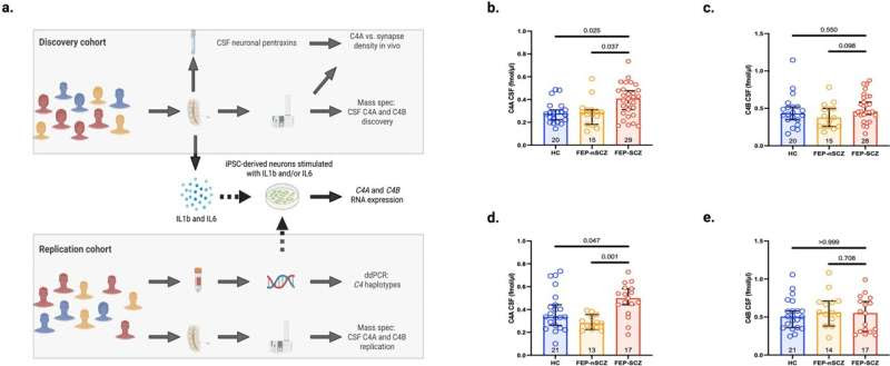 Inflammation amplifies effect of genetic risk variants for schizophrenia