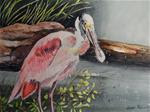 Spoonbill - Posted on Monday, March 30, 2015 by Susan Paciello