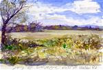 Spring Field in LaVergne TN Watercolor - Posted on Sunday, April 12, 2015 by Chris Ousley