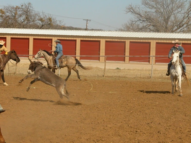 Donky roping