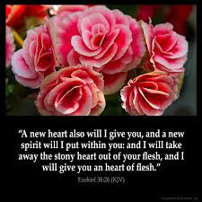 Image result for NEW TESTAMENT VERSES IN PICTURES