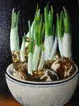 Paperwhites - Posted on Tuesday, December 23, 2014 by Hilarie Johnson