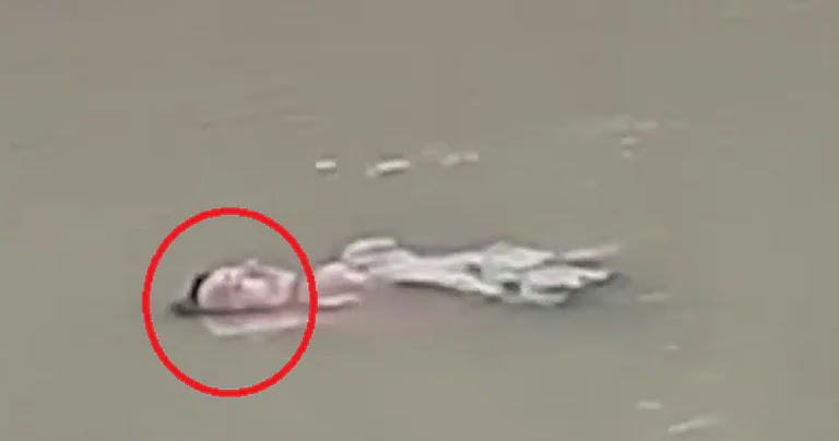 فيديو صادم.. شاهد ما فعله تمساح برجل سقط في النهر