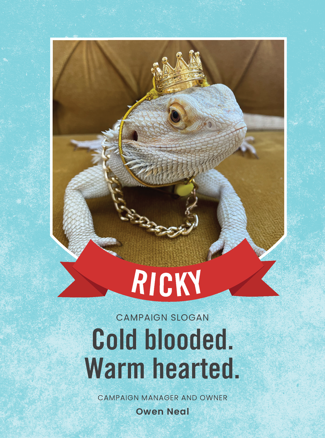 Vote for Ricky!