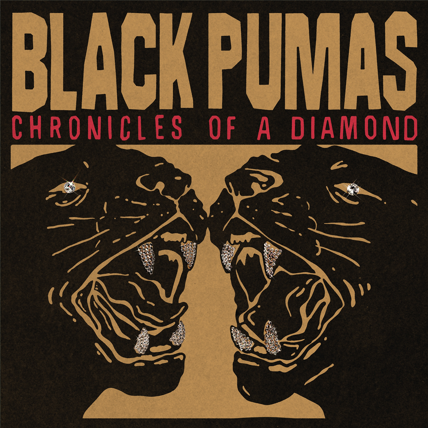 Black Pumas - Página 2 7f77ad11-a68d-70fd-a748-64ab8986c4ce
