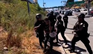 Watch: Protesting Hollywood Actress Has A Violent Run In With Police