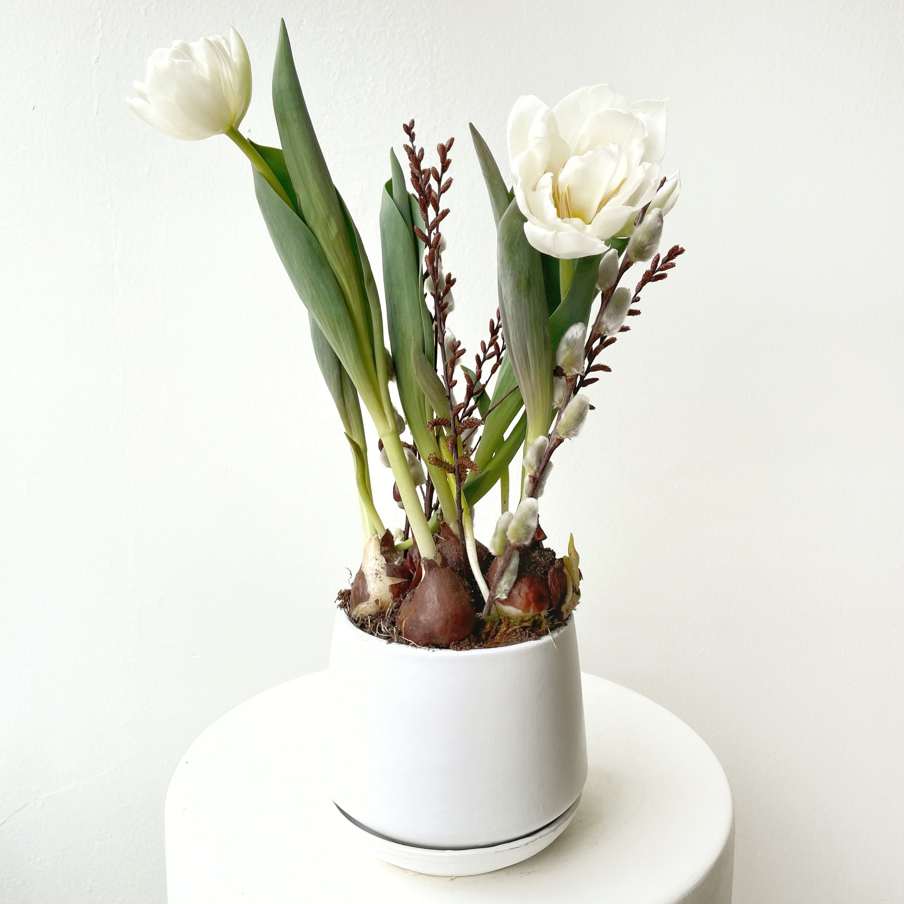 White Ceramic Tulip Bulb Garden