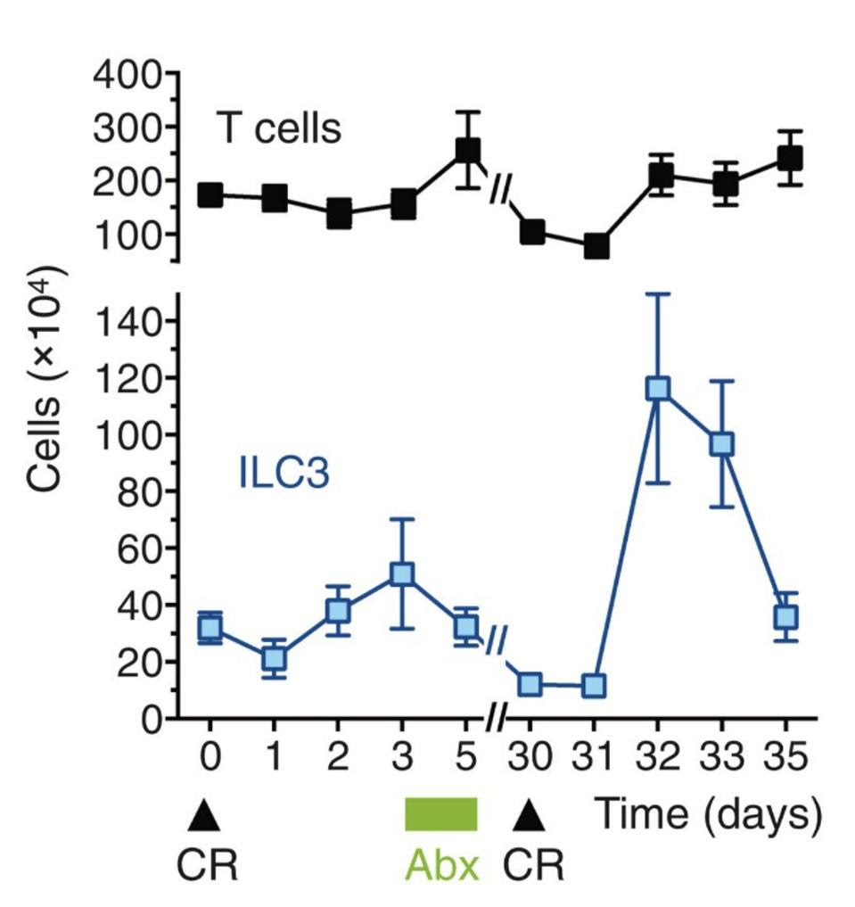 ILC3-reinfection-spike