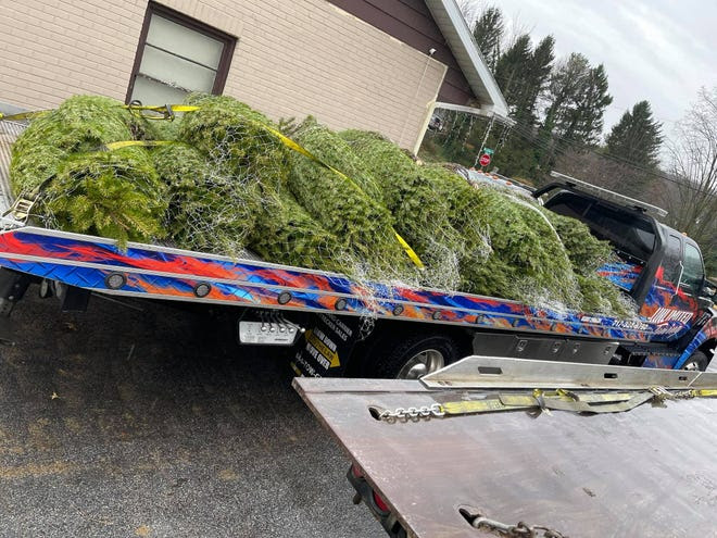 Christmas trees purchased for those in need