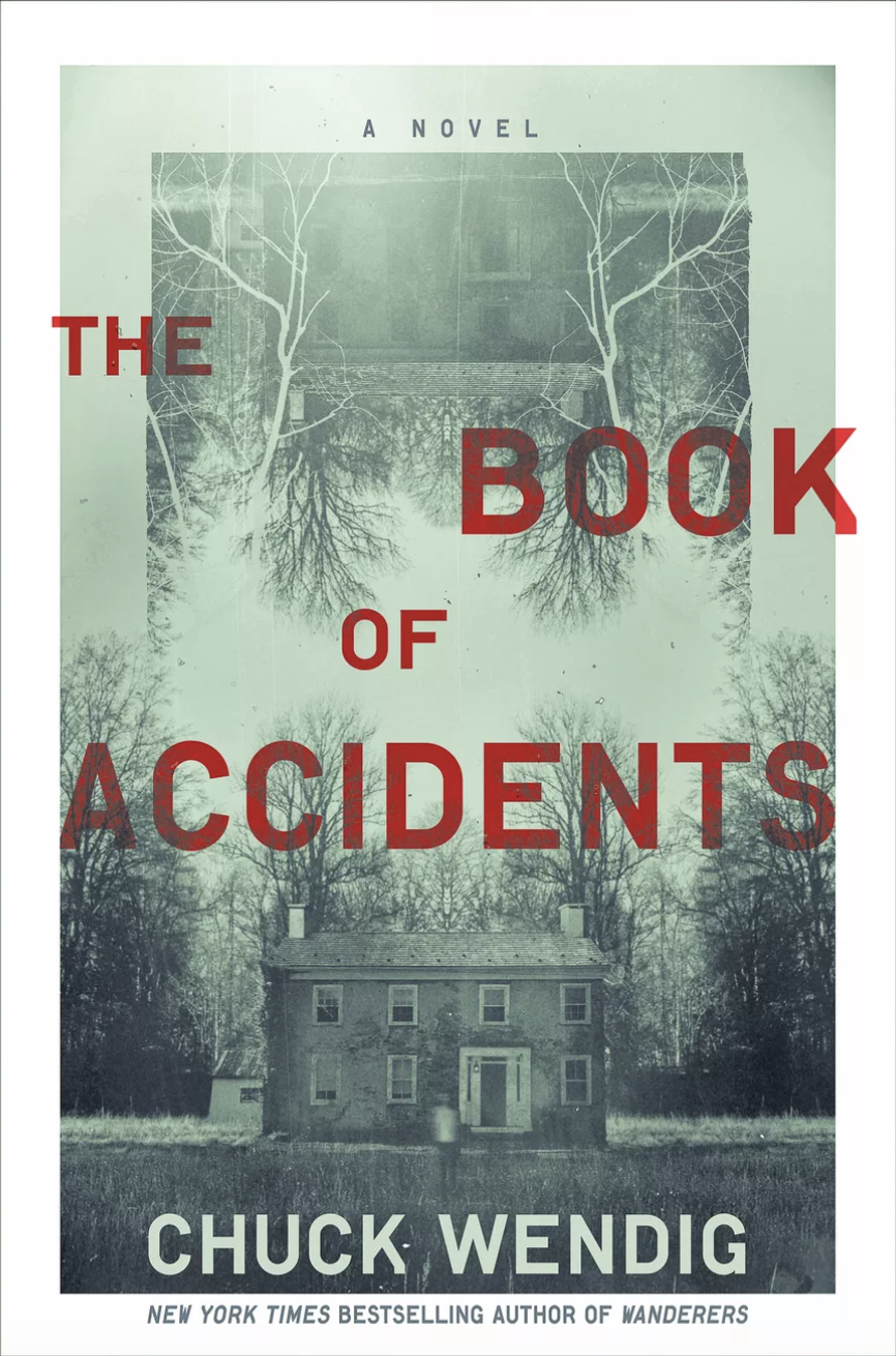 The Book of Accidents EPUB