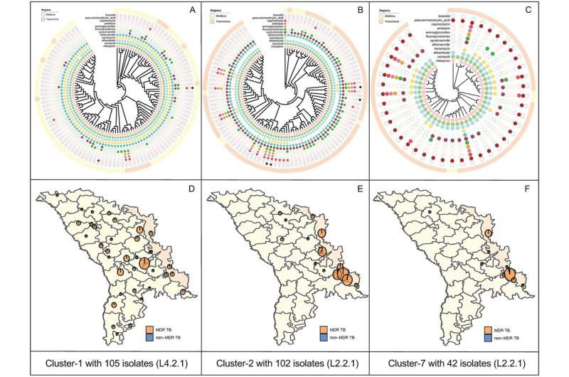 Study identifies drug-resistant tuberculosis strains spreading in Moldova