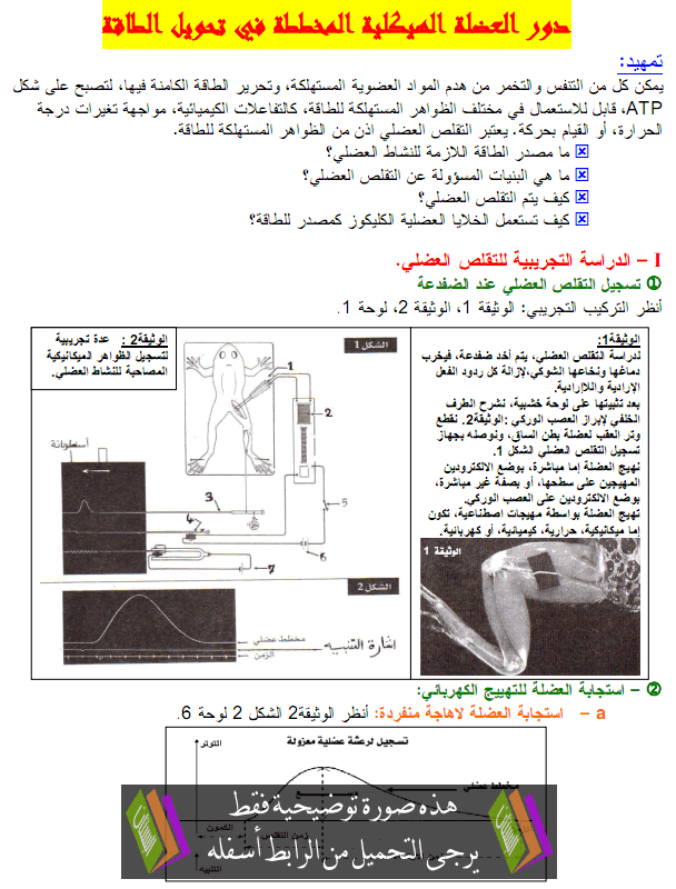 درس علوم الحياة والأرض: دور العضلة الهيكلية المخططة في تحويل الطاقة – الثانية باكالوريا علوم فيزيائية Aladala-alhaikalia