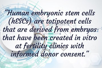 disadvantages of embryonic stem cells