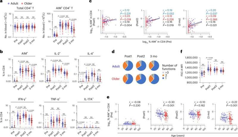 T-cell responses in the elderly rise slowly and contract quickly