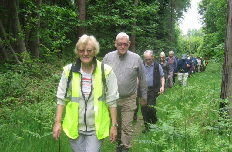 Epsom & Ewell Health Walks are looking for volunteers