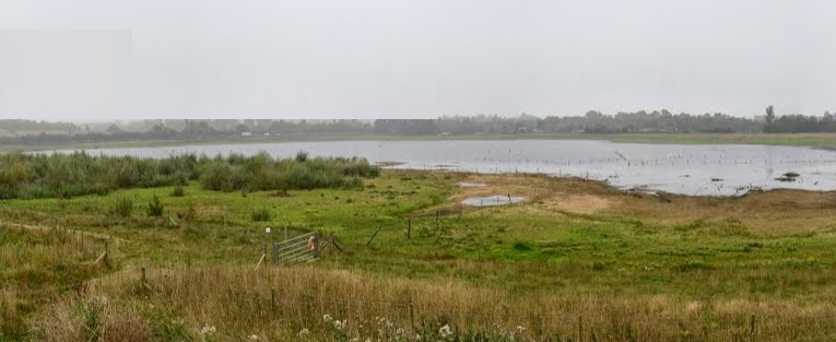 Council partnerships secure Surrey nature reserve