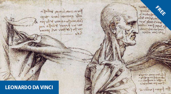 
The Science and Art of Leonardo’s Sketches