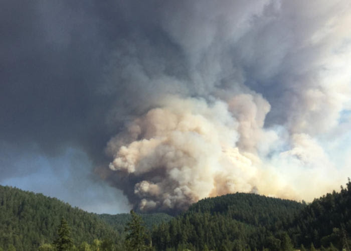 Quayle Alert: Fire Fighters Encounter Russian Troops in Wolverine Fire Area in Washington State Feared for their Lives!