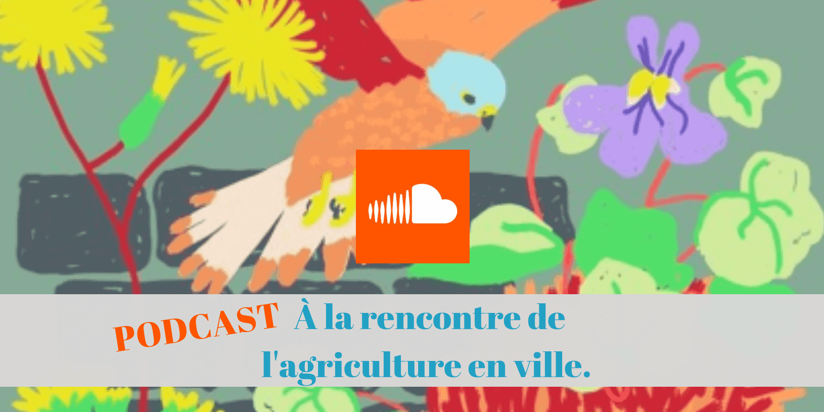 permaculture, ville, urbain, agriculture, podcast